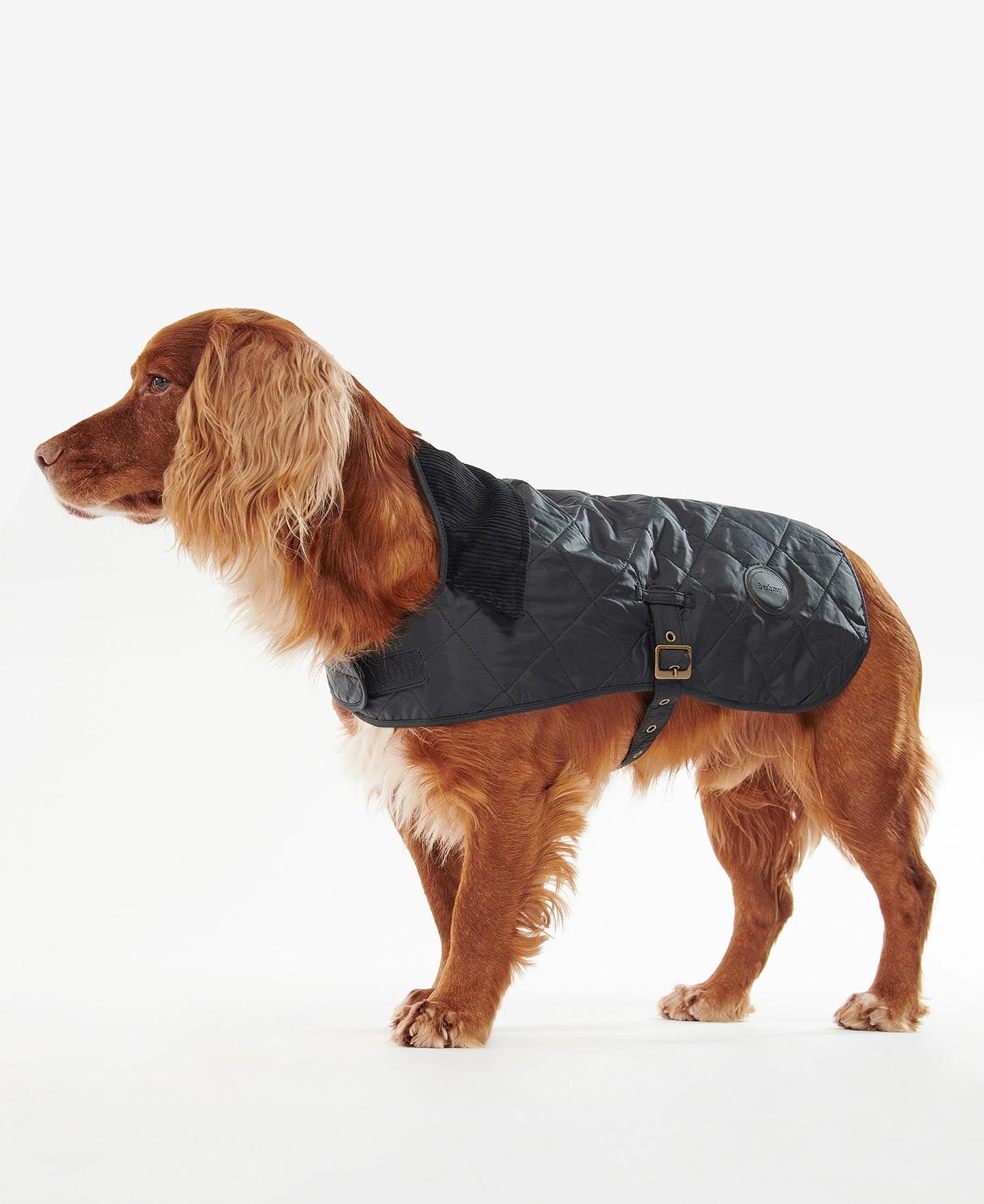 (Barbour) Quilted Dog Coat