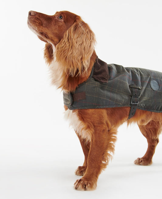 (Barbour) Tartan Wax Dog Coat