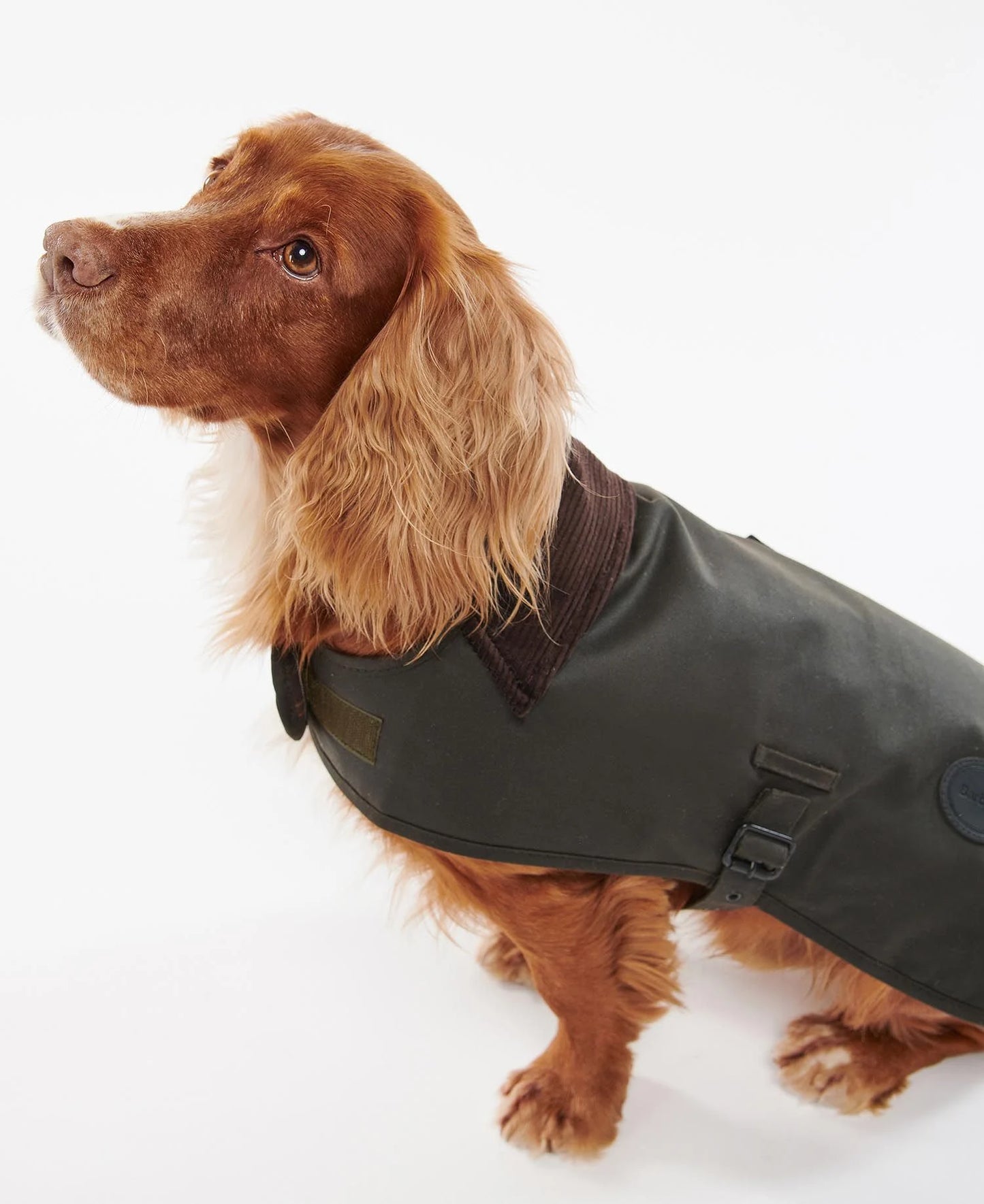 (Barbour) Wax Dog Coat